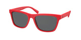 POLO PH4167