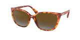 RALPH RA5274