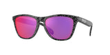 OAKLEY OO9013 FROGSKINS