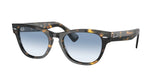 RAY BAN RB2201 LARAMIE