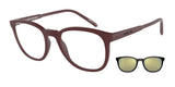 ARNETTE AN4289 MOMOS