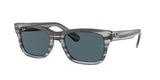RAY BAN RB2283 MR BURBANK