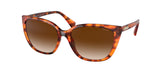 RALPH RA5274