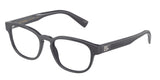DOLCE & GABBANA DG3340