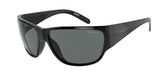 ARNETTE AN4280 WOLFLIGHT