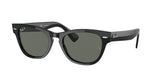 RAY BAN RB2201 LARAMIE