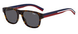 DIOR HOMME DIORFLAG2