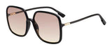 DIOR SOSTELLAIRE1