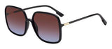 DIOR SOSTELLAIRE1