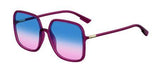 DIOR SOSTELLAIRE1