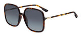 DIOR SOSTELLAIRE1