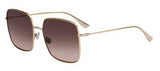 DIOR DIORSTELLAIRE1