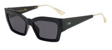 DIOR CATSTYLEDIOR2