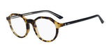 DIOR MONTAIGNE38