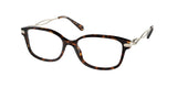 COACH HC6172