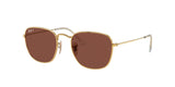 RAY BAN RB3857 FRANK