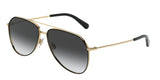 DOLCE & GABBANA DG2244