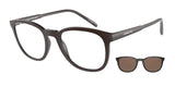 ARNETTE AN4289 MOMOS