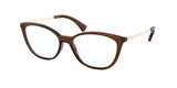 RALPH RA7114