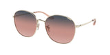 COACH HC7134 C7996