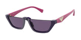 EMPORIO ARMANI EA4174