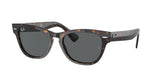 RAY BAN RB2201 LARAMIE