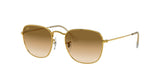 RAY BAN RB3857 FRANK