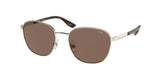CHAPS CP4004