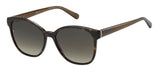 TOMMY HILFIGER TH 1811/S