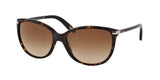 RALPH RA5160 RA5160