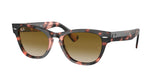 RAY BAN RB2201 LARAMIE