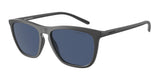 ARNETTE AN4301 FRY