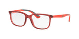 RAY BAN RY1605L