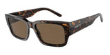 ARNETTE AN4296 DAKEN