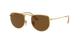 RAY BAN RB3958 ELON