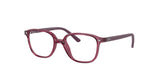 RAY BAN RY9093V LEONARD JR