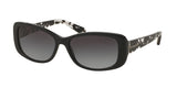 COACH HC8168 L156