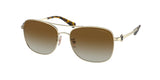 COACH HC7127 C6177