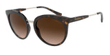 EMPORIO ARMANI EA4145