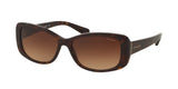 COACH HC8168 L156