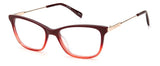 PIERRE CARDIN P.C. 8491