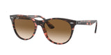 RAY BAN RB2185 WAYFARER II