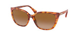 RALPH RA5274