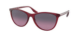 CHAPS CP5005