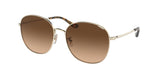 COACH HC7134 C7996