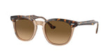 RAY BAN RB2298 HAWKEYE