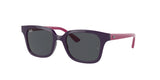 RAY BAN RJ9071S