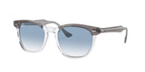 RAY BAN RB2298 HAWKEYE