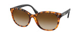 RALPH RA5279