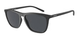 ARNETTE AN4301 FRY